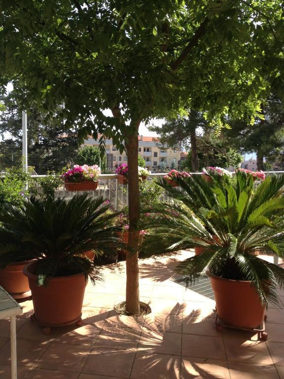 B&B Solacium Ματέρα Εξωτερικό φωτογραφία